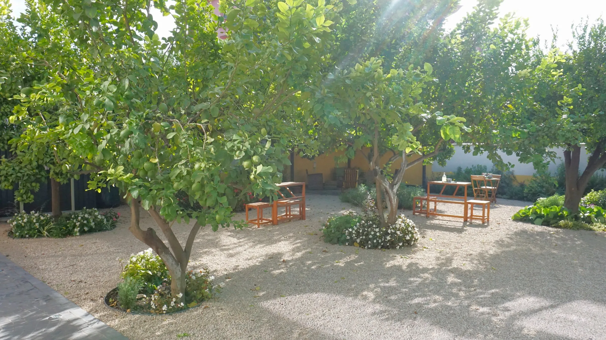 Il giardino — 1