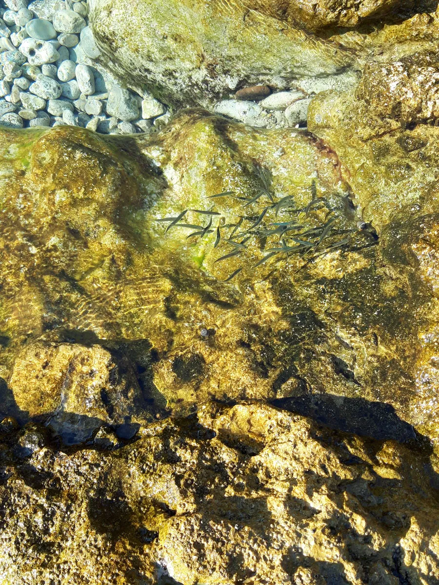 The Baths of Queen Giovanna — foto 24