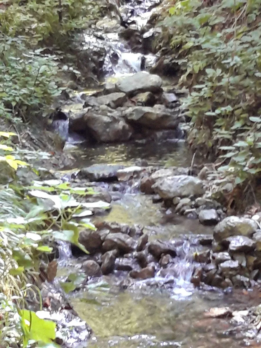 Le sorgenti di Agerola — foto 2