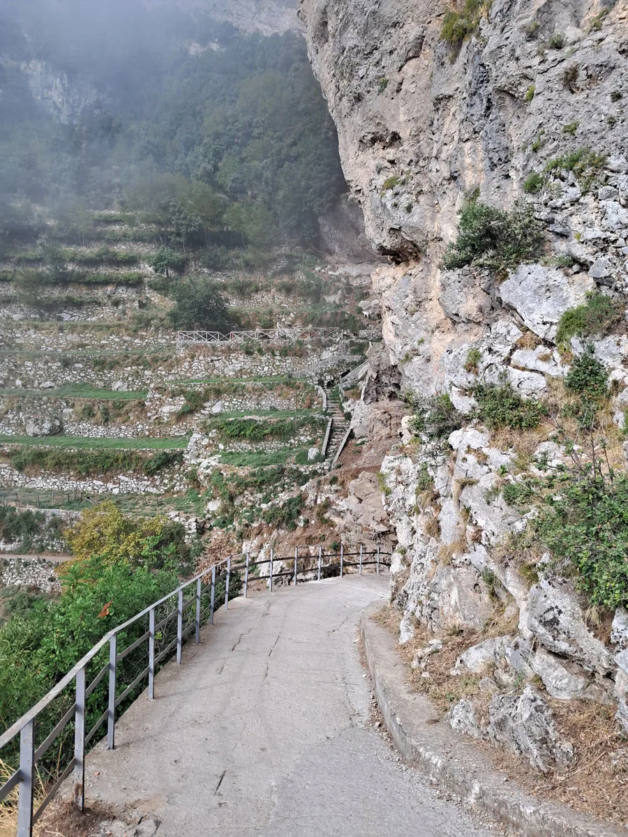 Il Ciclamino