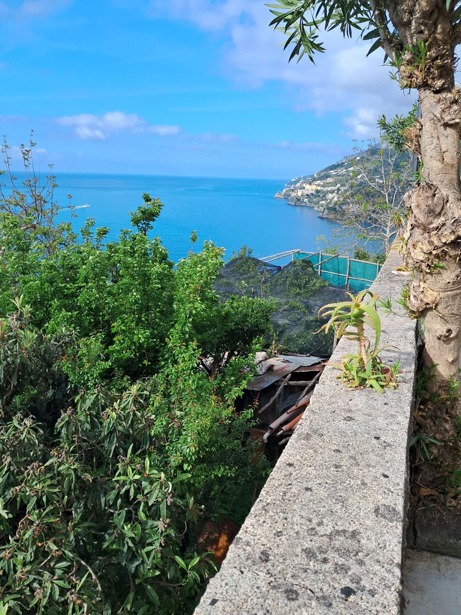 The Path of the Lemons — foto 5