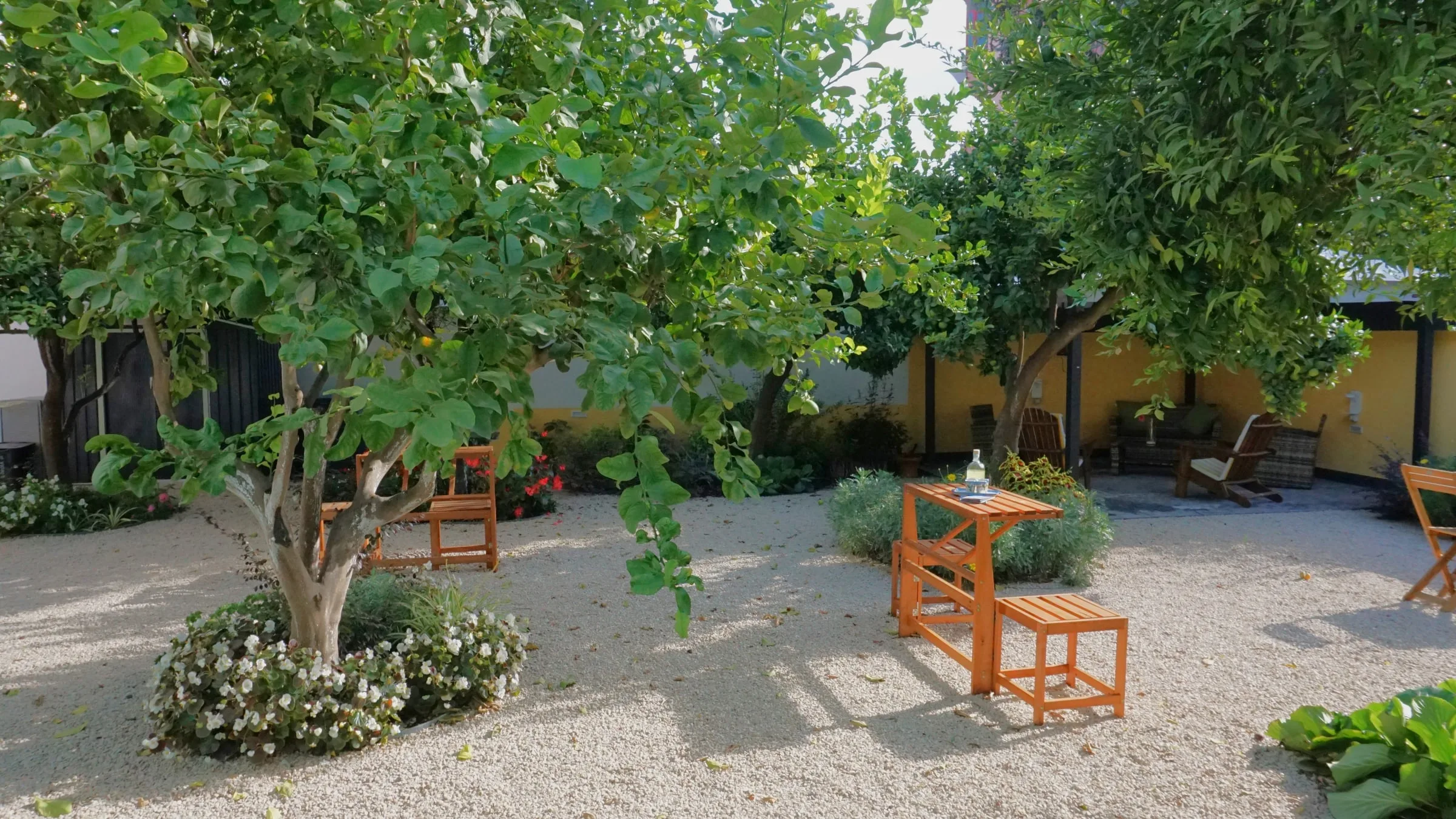 Il giardino