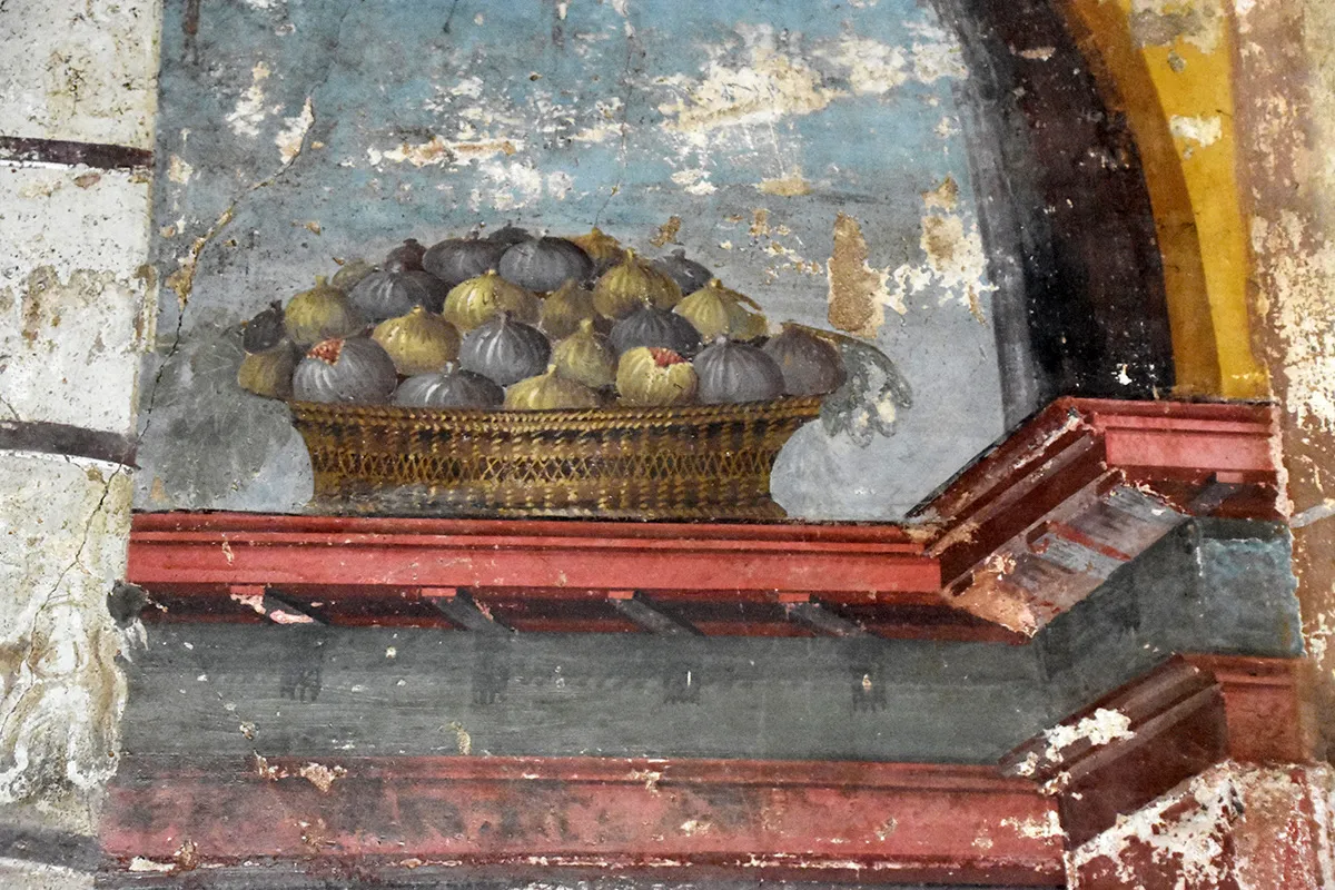 Oplontis — foto 4
