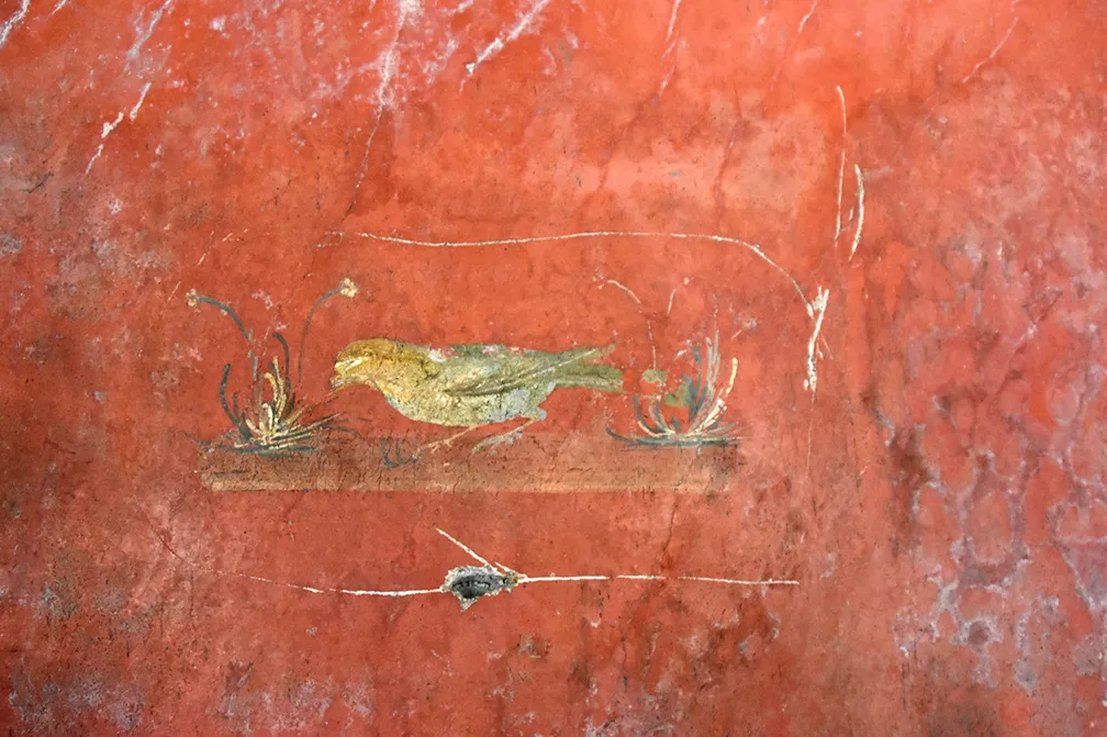 Oplontis — foto 8
