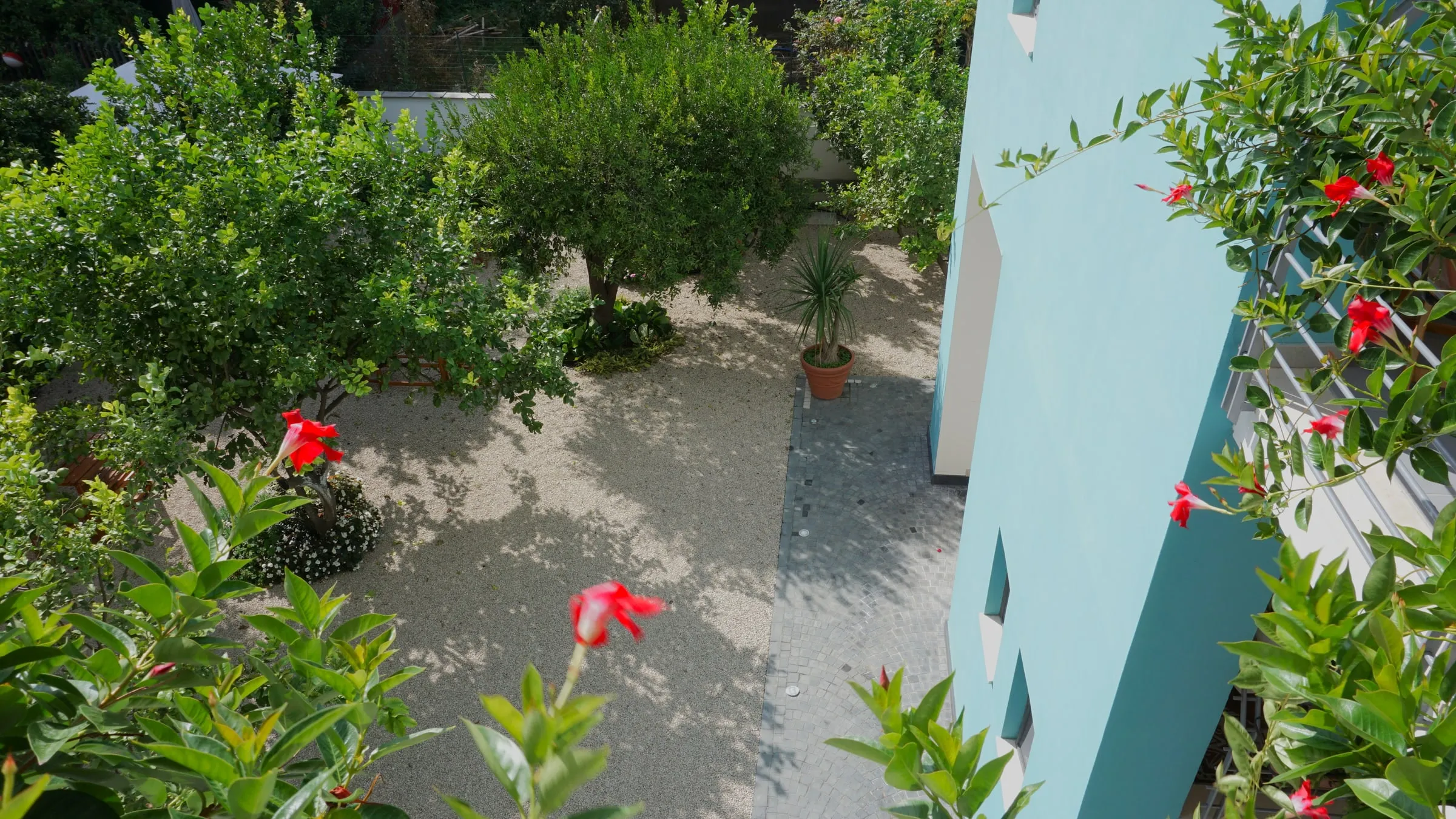 La Margherita Blu — foto 10